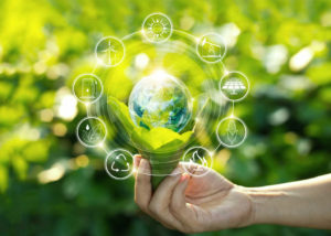 AmCham lanzó un premio para reconocer a empresas sustentables: cómo participar