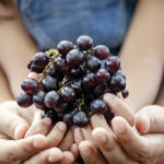 Sustentabilidad: crean una mesa global vitivinícola, ¿de qué se trata?