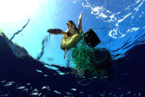 Gremios pesqueros de 10 países de América Latina, comprometidos en reciclar redes