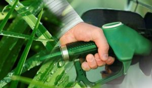 Oficial: Energía dispuso un aumento de 11,75% en el precio del bioetanol