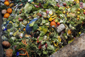 Alarmante: el 40% de los alimentos producidos en el mundo termina en la basura