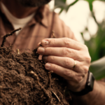 Qué es PRO Carbono, la iniciativa de Bayer para promover prácticas sostenibles en Argentina