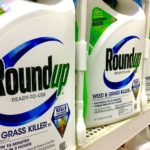 Bayer busca evitar perder miles de millones de dólares por un litigio contra su herbicida Roundup