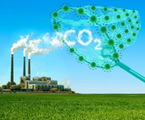 Dos multinacionales usan tecnologías bacterianas para reciclar gases industriales