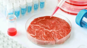 Un reconocido actor decidió invertir en dos startups de carne cultivada en laboratorio