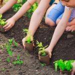 Educación Ambiental: cuando la desesperación es tan nociva como la negación
