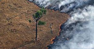 La Amazonia registró en junio la cifra más alta de incendios para este mes desde 2007