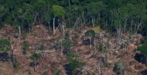 Brasil admite que no cumplirá la meta de reducir 10% la deforestación amazónica