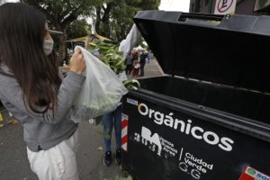 Cómo lograron recolectar más de 4 mil kilos de residuos orgánicos en tan solo dos meses en la Ciudad