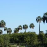 Ambiente va a crear un nuevo parque nacional, ¿en qué provincia?