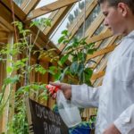 Construirán la primera aula ambiental sustentable de Argentina, ¿cómo lo harán?