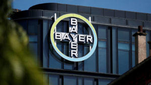 Agro sustentable: Bayer venderá semillas para la producción orgánica