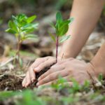 Ofrecen un curso virtual sobre biodiversidad para aplicar en proyectos
