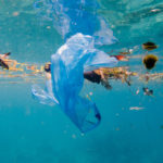 Perfumería sustentable: así propone Natura cuidar a los océanos
