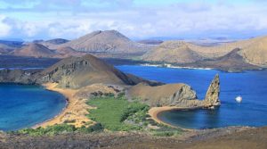 Islas Galápagos: el efecto del cambio climático en las corrientes marinas amenaza su biodiversidad