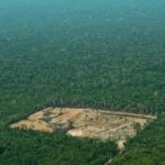Mes de la Amazonia: qué empresa impulsa espacios para discutir sobre el futuro de la región