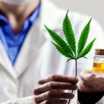 Ley de cannabis medicinal y cáñamo industrial: qué se puede producir en Argentina