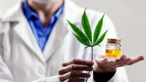 Ley de cannabis medicinal: qué contempla la nueva regulación aprobada en el Congreso