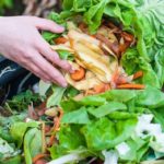 Día Internacional contra el Desperdicio de Alimentos: se desechan cerca de 1.300 millones de toneladas anuales en el mundo