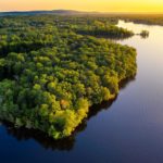 Cuidar el Amazonas y descarbonizar la economía, los pedidos de un gigante de la cosmética en América Latina