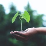 Avon anunció la creación de la Gerencia Regional de Sustentabilidad