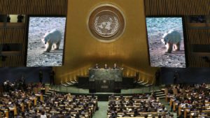 ONU creó un cargo para la protección de los derechos humanos frente al cambio climático