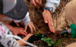 MetLife Uruguay, a favor de los bosques: por cada colaborador, la compañía planta un árbol