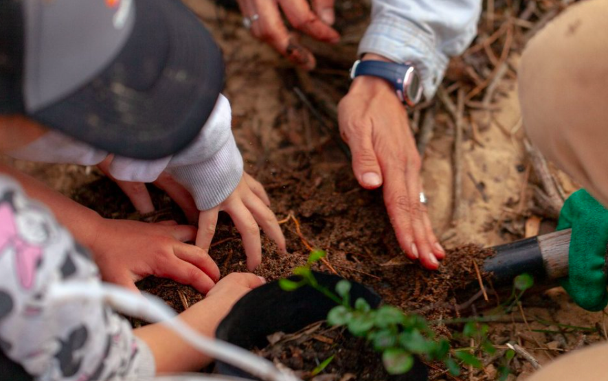 MetLife Uruguay planta un árbol por cada colaborador de la compañía