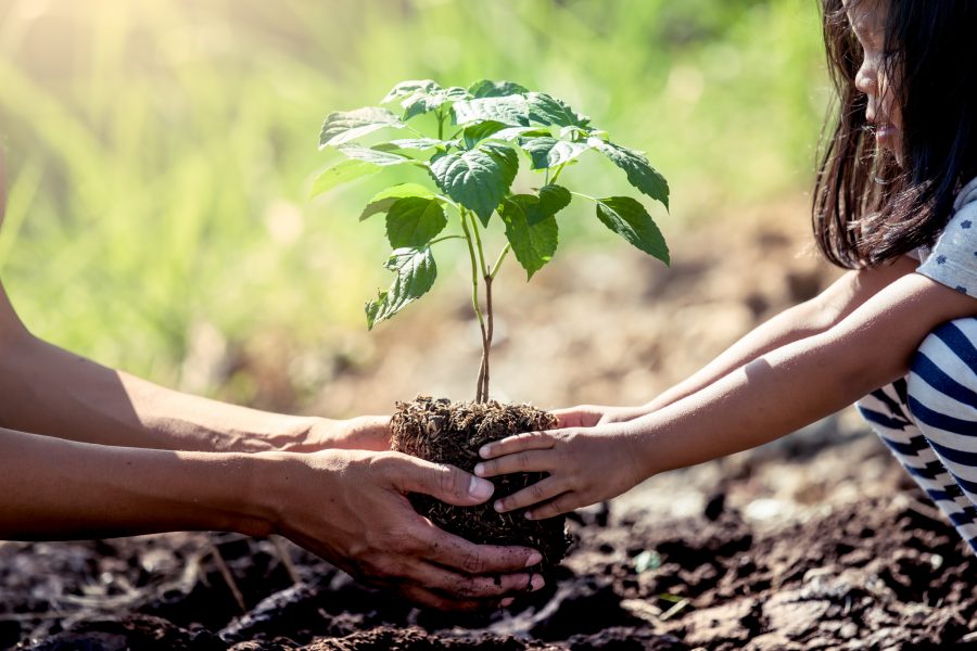 MetLife Uruguay planta un árbol por cada colaborador de la compañía
