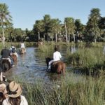 Corrientes: suman 40.000 hectáreas más para ampliar el Parque Iberá