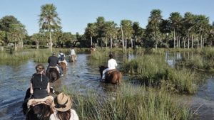 Corrientes: suman 40.000 hectáreas más para ampliar el Parque Iberá