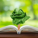 Opinión: la importancia de la Educación Ambiental y los tópicos implicados en ella