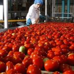 El mayor productor de alimentos de Argentina cambia su estrategia de sustentabilidad