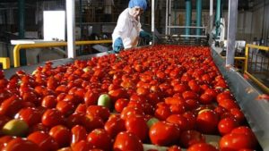 El mayor productor de alimentos de Argentina cambia su estrategia de sustentabilidad