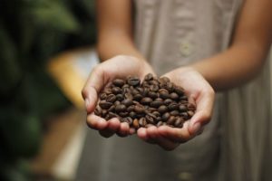 La hoja de ruta de la mayor marca de café para sobrevivir al cambio climático