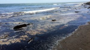 EE.UU.: «Catástrofe medioambiental» en California tras un derrame de petróleo