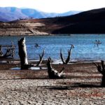 Greenpeace insta a la Argentina a «fortalecer sus planes de mitigación de la crisis climática”