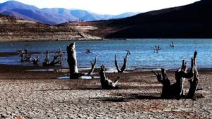 Greenpeace insta a la Argentina a «fortalecer sus planes de mitigación de la crisis climática”