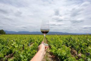 El vino argentino recibió 300 mil euros para potenciar la sustentabilidad del sector