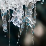 Semana de Acción para el Empoderamiento Climático: cuáles son las actividades