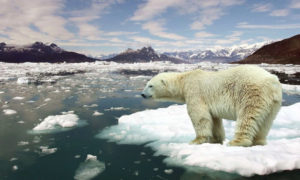Científicos afirman que se podría alcanzar el incremento de 1,5°C de calentamiento global antes de 2030