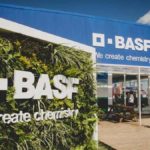 BASF compró bonos de carbono de YPF Luz para invertir en energías renovables