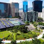 Opinión: eco-parálisis, cómo combatir el síntoma provocado por la crisis ambiental de esta década