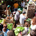 Realizan un «feriazo» para exponer el impacto de los agrotóxicos: dónde y cuándo