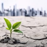 Las empresas aseguradoras, cada vez más preocupadas por el riesgo climático
