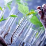 Opinión: tecnología microbiana, el camino para transformar la agricultura sustentable