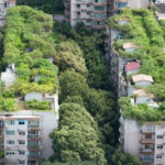 Techos inteligentes, para una ciudad sustentable: una oportunidad para recuperar la naturaleza