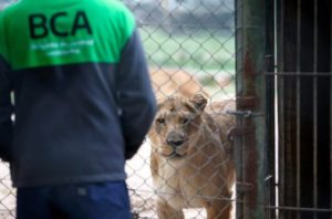 Ambiente constató que persisten irregularidades en el Zoológico de Luján