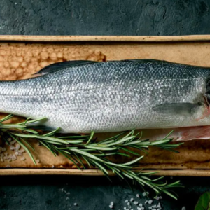 Aprobaron el proyecto del pescado de laboratorio: sin espinas, microplásticos ni mercurio