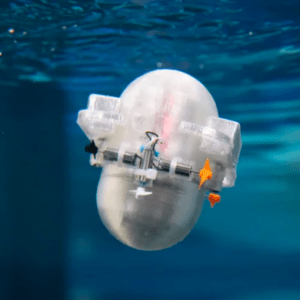 CARL-Bot, el robot que navegará los océanos para descubrir nuevas especies marinas